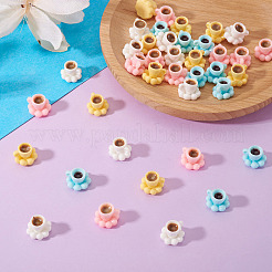 40Pcs 4 Colors Resin Miniature Ornaments&nbsp;DIY-TA0014-15