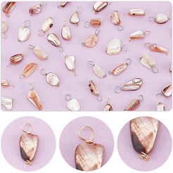 60Pcs 2 Colors Natural Seashell Nuggets Charms&nbsp;FIND-AR0005-68