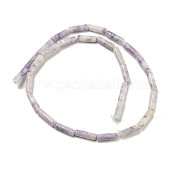 天然紫ターコイズビーズ連売り  コラム  14x4mm  穴：1mm  約28個/連  15.35インチ（39cm）&nbsp;G-D464-48