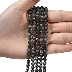 Natural Larvikite Beads Strands&nbsp;G-Z119-A32-01