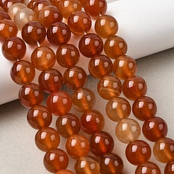 Natural Carnelian Beads Strands&nbsp;G-N0006-12mm-17