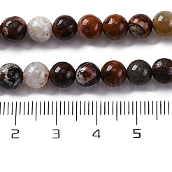 Natural Mexico Crazy Agate Beads Strands&nbsp;G-L615-A01-01