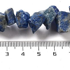 Raw Rough Natural Lapis Lazuli Beads Strands&nbsp;G-P528-A14-01