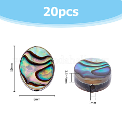 20Pcs Abalone Shell/Paua Shell Beads&nbsp;SSHEL-FI0001-03