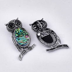 Abalone Shell/Paua Shell Brooches/Pendants&nbsp;X-RESI-S376-12