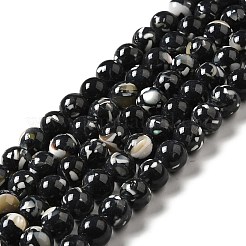 Synthetic Turquoise and Sea Shell Assembled Beads Strands&nbsp;G-D482-01C