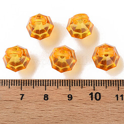 Transparent Acrylic Pendants&nbsp;MACR-S373-125-B08
