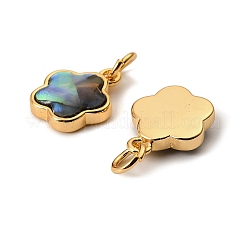 Natural Paua Shell Star Charms&nbsp;KK-G538-28G