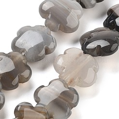 天然なグレーの瑪瑙ビーズ連売り  花  16x16x6mm  穴：1.4mm  約25個/連  14.57~14.96インチ（37~38cm）&nbsp;G-F769-I01-01