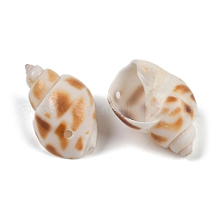 天然スパイラルシェルペンダント  貝殻の形のチャーム  チョコレート  16~29x11~18x9~17mm  穴：1.4mm&nbsp;SHEL-K009-17D