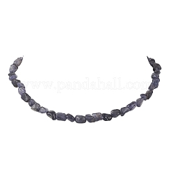 Natural Iolite Nuggets Beaded Necklaces for Women&nbsp;NJEW-JN05829