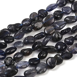 Natural Iolite Beads Strands&nbsp;G-C271-01