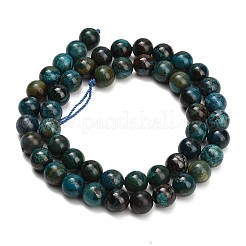 Natural Chrysocolla Beads Strands&nbsp;G-G475-A03-8mm