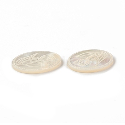 Natural Sea Shell Cabochons&nbsp;SSHEL-T012-14