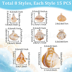 120個8スタイルアクリルパーツ  天然石風  シェル形状  ミックスカラー  23~59x18~50.5x5~7.5mm  穴：1.6~2.6mm  15個/スタイル&nbsp;OACR-PH0004-40