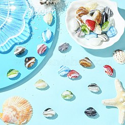 40個8色手作りランプワークビーズ  シェル形状  パールカラーの  ミックスカラー  15.5~17.5x22~23.5x9.5~11mm  穴：1.5~2.5mm  5個/カラー&nbsp;LAMP-CJ0002-76