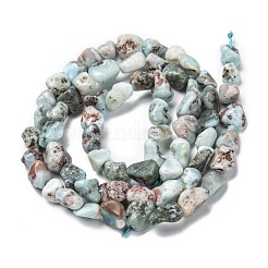 Natural Larimar Beads Strands&nbsp;G-G018-19
