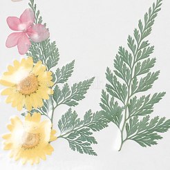 圧搾ドライフラワー  携帯電話用  フォトフレーム  スクラップブッキングDIYとレジンアートの花の装飾  花柄  130x100x0.8mm&nbsp;X-DIY-H153-A02