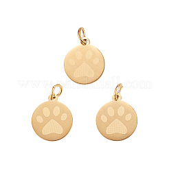 201 Stainless Steel Pet Charms&nbsp;STAS-CJ0001-97G