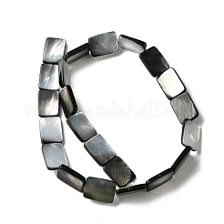 Natural Black Lip Shell Beads Strands&nbsp;BSHE-D300-03-13x18mm