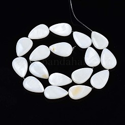Natural Sea Shell Beads Strands&nbsp;SSHEL-Q296-43