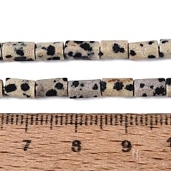 天然石ダルメシアンジャスパービーズ連売り  六角柱  5~7.5x3.5~4.5mm  穴：0.6~0.8mm  約57~64個/連  14.76~15.55インチ（37.5~39.5cm）&nbsp;GG-N002-01A-07