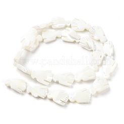 天然トロチッドシェル/トロカスシェルビーズ連売り  ワシ  貝殻色  17~18x10~13x3.5~4mm  穴：0.8mm  約22個/連  15.35~15.55''（39~39.5センチメートル）&nbsp;SSHEL-R145-05