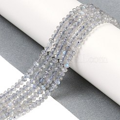 Natural Labradorite Beads Strands&nbsp;G-K366-A01-01