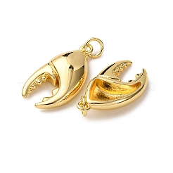 Brass Pendants&nbsp;KK-A271-09M-G
