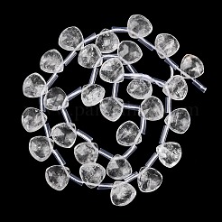 Natural Quartz Crystal Beads Strands&nbsp;G-L654-L04-01
