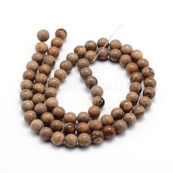 Natural Picture Jasper Round Bead Strands&nbsp;G-J303-08-6mm