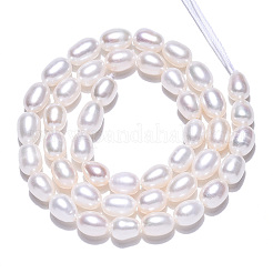天然養殖淡水パールビーズ連売り  ライス  貝殻色  7~11.5x6~6.5mm  穴：0.7~0.8mm  約38~45個/連  14.37インチ（36.5cm）&nbsp;PEAR-N012-06Q