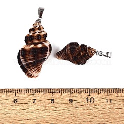 Brass & Natural Spiral Shell Big Pendants&nbsp;SHEL-Q029-30P