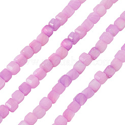 1 Strand Natural Freshwater Shell Dyed Beads Strands&nbsp;SHEL-TA0001-44B