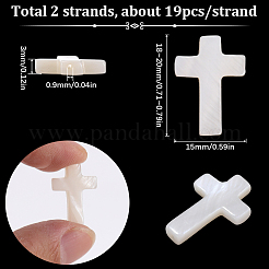 2 Strands Natural Freshwater Shell Beads Strands&nbsp;SHEL-SC0001-45