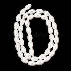 Electroplated Shell Pearl Beads Strands&nbsp;BSHE-C010-02