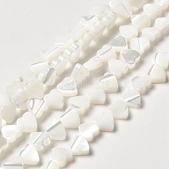 天然トロチッドシェル/トロカスシェルビーズ連売り  ハート  貝殻色  6.5x6x2.5mm  穴：0.9mm  約62個/連  14.80''（37.6センチメートル）&nbsp;BSHE-E026-19