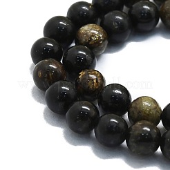 Natural Biotite Beads Strands&nbsp;G-P457-C02-01