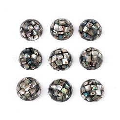 Synthetic Abalone Shell/Paua Shell Beads&nbsp;SSHEL-K001-001A