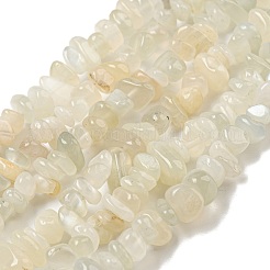 天然ホワイトムーンストーンビーズ連売り  チップ  5~8mm  穴：1mm  約80~81 CM&nbsp;G-P332-01
