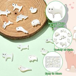 動物テーマの天然ホワイトシェルビーズセット 14スタイル 7個  混合図形  6.5~11.5x9~16.5x2~2.5mm  穴：0.8~0.9mm  2個/スタイル&nbsp;FIND-CJ0004-74