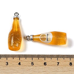 Transparent Resin Pendants&nbsp;RESI-D074-03C