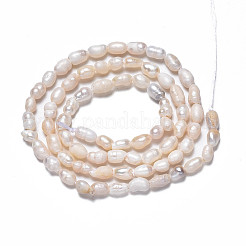 天然養殖淡水パールビーズ連売り  ライス  貝殻色  3.5~6x3~4mm  穴：0.7mm  約60~72個/連  12.99インチ〜13.78インチ（33cm〜35cm）&nbsp;PEAR-N012-03C