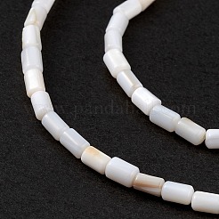 天然淡水貝殻染めビーズ連売り  コラム  シーグリーン  4.8x3mm  穴：0.8mm  約78個/連  14.96''（38センチメートル）&nbsp;SHEL-M018-12-12