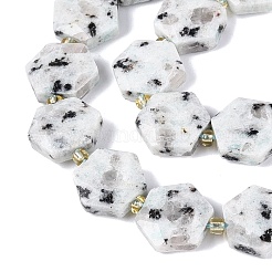 Natural Sesame Jasper Beads Strands&nbsp;G-N368-01A-19