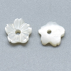 Natural White Shell Beads&nbsp;SSHEL-S260-011