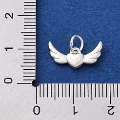 925 Sterling Silver Charms&nbsp;STER-S010-01B-S