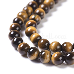 Natural Tiger Eye Round Bead Strands&nbsp;G-L411-07-6mm