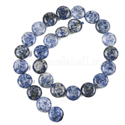 Natural Blue Spot Jasper Beads Strands&nbsp;G-L648-B08-15mm