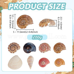 スパイラルシェルビーズ  ドリルなし/穴なしビーズ  カラフル  5~12x4~10x2~5.5mm&nbsp;SSHEL-PH0002-34
